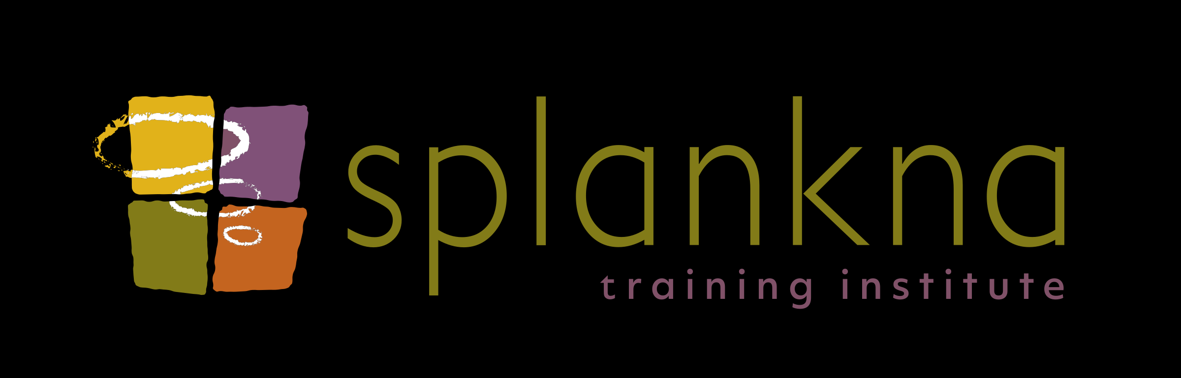 Splankna Training Institute